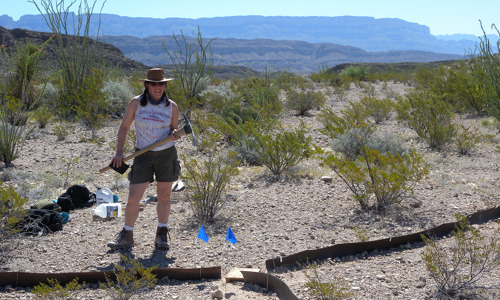 Dr. Paula Cushing standing in a Texas desert holding a pick axe with various collecting equipment at her feet.
