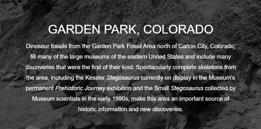 Garden Park Co