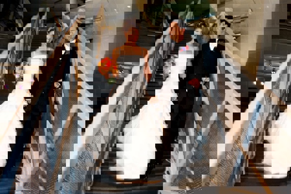 A bride and groom on the stairs 